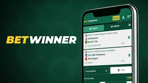 Live Sports Betting with BetWinner Experience the Thrill