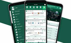 Log In to Your BetWinner Account A Step-by-Step Guide