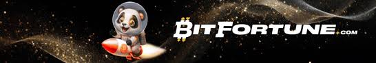 Understanding Bitfortune Payment Methods An In-Depth Look at How Routing Works
