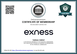 Understanding Exness Forex Liquidity Providers 2 Understanding Exness Forex Liquidity Providers 2