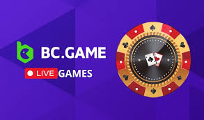 Understanding the BC.Game Payment Process A Comprehensive Guide 674875738